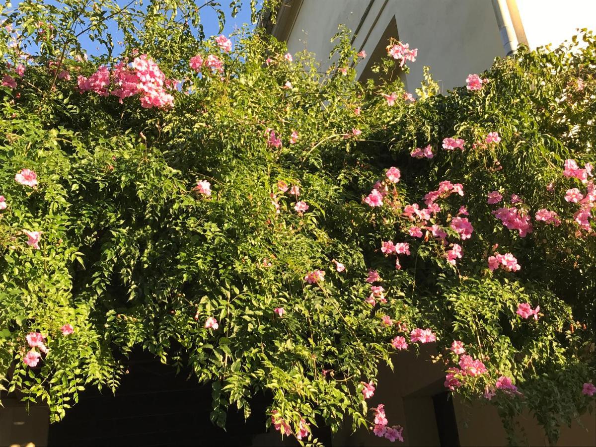 Appartement Elsa Valencia Bagian luar foto